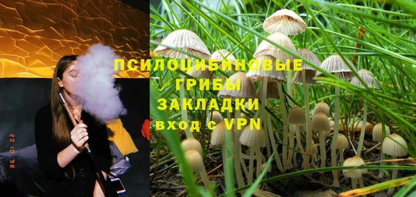 spice Баксан