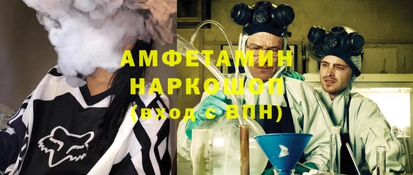 индика Вязники